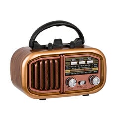 Raadio retro retropolis austin hind ja info | Raadiod ja äratuskellad | kaup24.ee