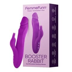 Вибратор-зайчик FemmeFunn Balai, фиолетовый цвет цена и информация | Вибраторы | kaup24.ee