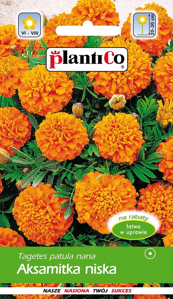 Madal peiulill Orange цена и информация | Lilleseemned | kaup24.ee