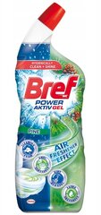 Geel-tualettpuhastusvahend Bref Power Aktiv Pine, 700ml hind ja info | Puhastusvahendid | kaup24.ee