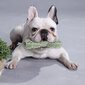 Pehmest kummist lemmiklooma mänguasi, roheline hind ja info | Mänguasjad koertele | kaup24.ee
