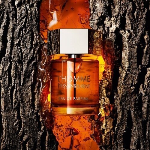 Parfüümvesi Yves Saint Laurent L`Homme EDP meestele, 60 ml hind ja info | Meeste parfüümid | kaup24.ee