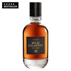 Komplekt meestele Wild Country Gift Avon цена и информация | Парфюмированная косметика для мужчин | kaup24.ee