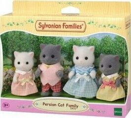 Kуклы Sylvanian Families 5455 The Persian Cat Family цена и информация | Игрушки для девочек | kaup24.ee