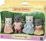 Figuurikomplekt Sylvanian Families Pärsia kasside perekond hind ja info | Tüdrukute mänguasjad | kaup24.ee