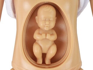 Беременная кукла Anlily с аксессуарами цена и информация | Anlily Товары для детей и младенцев | kaup24.ee