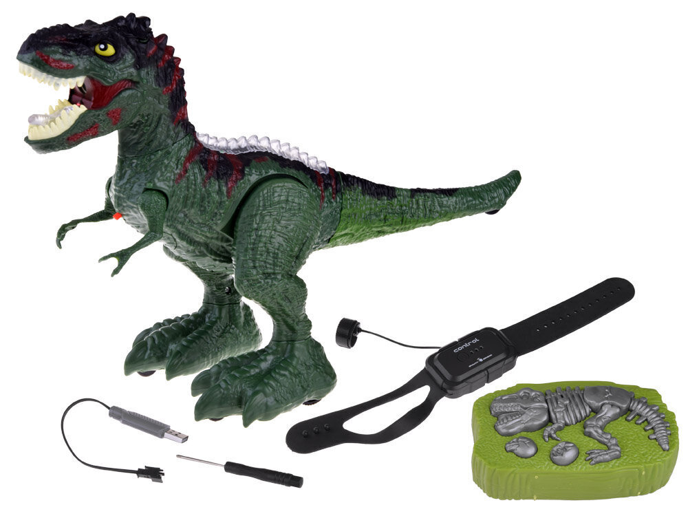 Rc dinosaurus T-Rex 2in1, roheline hind ja info | Poiste mänguasjad | kaup24.ee