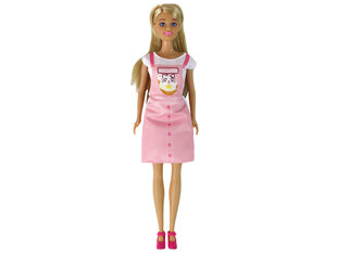 Набор кукла Anlily в магазине цена и информация | Игрушки для девочек | kaup24.ee