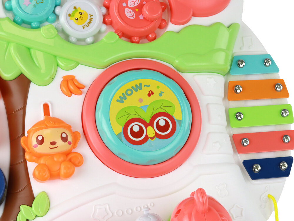 Multifunktsionaalne tõukur Lean Toys hind ja info | Imikute mänguasjad | kaup24.ee