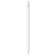 Apple Pencil (USB-C) - MUWA3ZM/A цена и информация | Аксессуары для планшетов, электронных книг | kaup24.ee