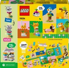 11034 Lego® Classic Loomingulised lemmikloomad цена и информация | Конструкторы и кубики | kaup24.ee