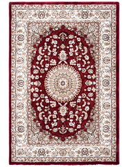 Vaip Dubai, 160x230cm hind ja info | Vaibad | kaup24.ee