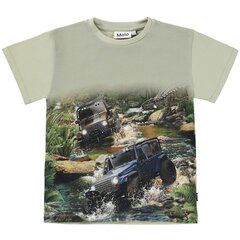 Детская футболка Molo Rasmus цена и информация | Рубашки для мальчиков | kaup24.ee