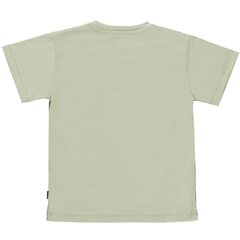 Детская футболка Molo Rasmus цена и информация | Рубашки для мальчиков | kaup24.ee