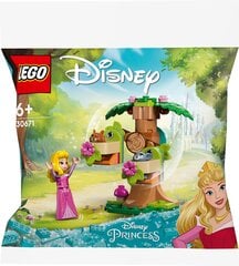 30671 LEGO® Disney Aurora metsa mänguväljak цена и информация | Конструкторы и кубики | kaup24.ee