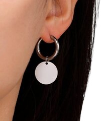 Kõrvarõngad naistele E60 hind ja info | Kõrvarõngad | kaup24.ee
