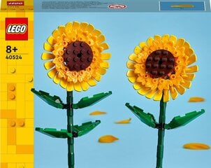 40524 LEGO® Iconic Päevalill hind ja info | Klotsid ja konstruktorid | kaup24.ee