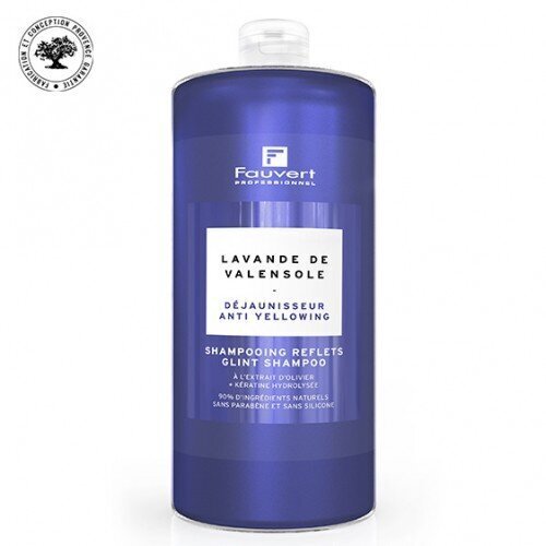 Kollaseid toone neutraliseeriv šampoon Fauvert, 1000 ml цена и информация | Šampoonid | kaup24.ee
