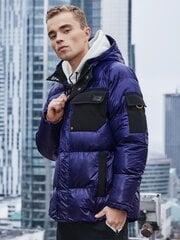 зимняя куртка c457 - фиолетовая цена и информация | Мужские куртки | kaup24.ee