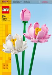 40647 Кольца лотоса LEGO® Iconic цена и информация | Конструкторы и кубики | kaup24.ee