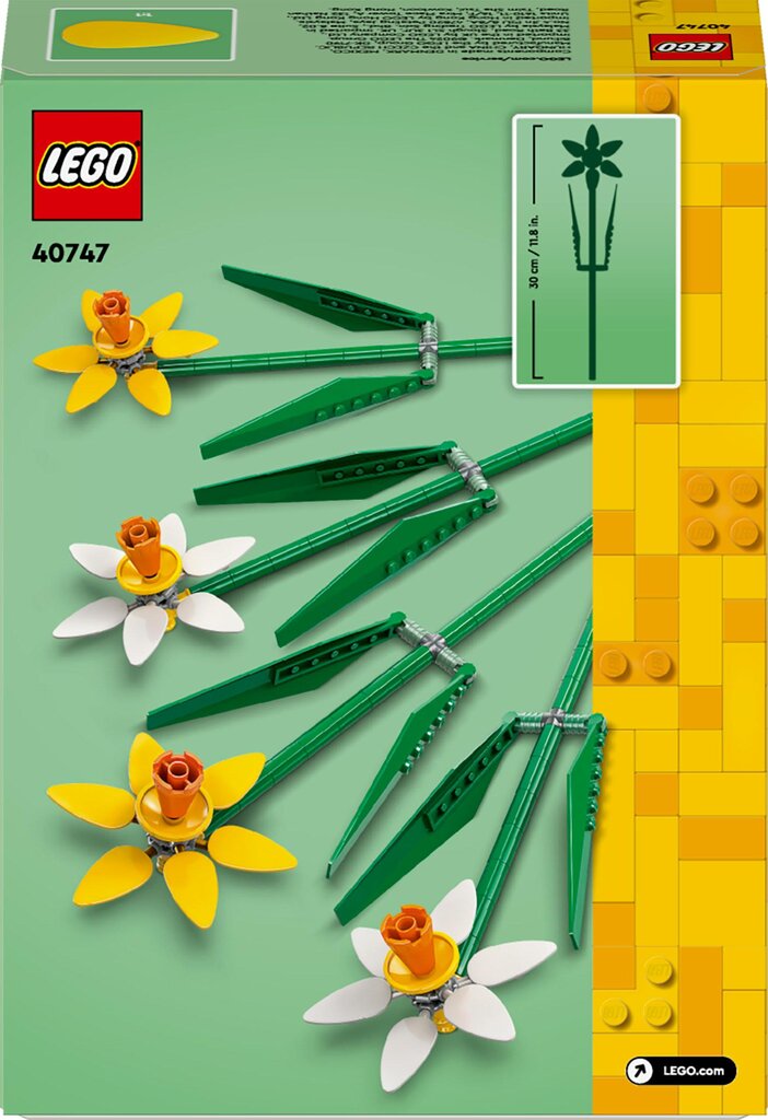 40647 LEGO® Iconic Lootoseõied hind ja info | Klotsid ja konstruktorid | kaup24.ee