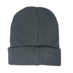 Müts Masters Winter Cap 04777 цена и информация | Женские шапки | kaup24.ee