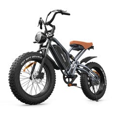 Электровелосипед Jansno X50, 20", черный, 750Вт, 14Ач цена и информация | Электровелосипеды | kaup24.ee