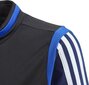 Dressipluus poistele Adidas Tiro, sinine hind ja info | Poiste kampsunid, vestid ja jakid | kaup24.ee