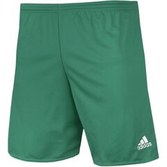 Lühikesed püksid meestele Adidas Parma 742735, roheline hind ja info | Meeste lühikesed püksid | kaup24.ee