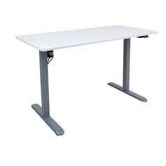 Письменный стол Ergo Light  с 1 мотором 120x60см, серебристо-серый/белый цена и информация | Детские письменные столы | kaup24.ee