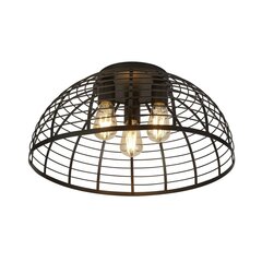 Searchlight laelamp Vision Cage 85981-3BK цена и информация | Потолочные светильники | kaup24.ee