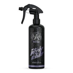 Salongipuhastusvahend Bad Boys Interior Detailer WildBerry, 500ml цена и информация | Автохимия | kaup24.ee