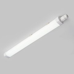 Трубчатый светильник 0,6 м, 15 Вт, 1600 лм цена и информация | Потолочные светильники | kaup24.ee