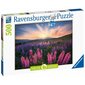 Pusle Ravensburger, 500 tk Lupiinid hind ja info | Pusled | kaup24.ee