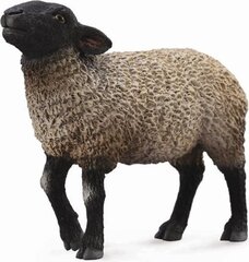 Kuju CollectA Suffolki lammas 88636 hind ja info | Poiste mänguasjad | kaup24.ee
