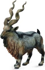 Kuju CollectA Tadžiki Markhor 88641 hind ja info | Poiste mänguasjad | kaup24.ee