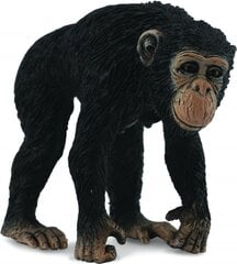 Kuju CollectA Šimpans emane 88493 hind ja info | Poiste mänguasjad | kaup24.ee