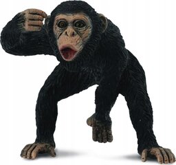 Фигурка CollectA Самец шимпанзе 88492 цена и информация | Игрушки для мальчиков | kaup24.ee