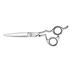 Ножницы для волос Eurostil 6" цена и информация | Расчески, щетки для волос, ножницы | kaup24.ee
