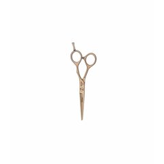Ножницы для волос Eurostil Rose Gold 5.5 цена и информация | Расчески, щетки для волос, ножницы | kaup24.ee