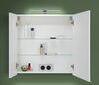 Riputatav vannitoakapp Fabian, 60x68x16 cm, valge hind ja info | Vannitoakapid | kaup24.ee