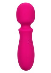 Vibraator Bliss Mini Wand, roosa hind ja info | Vibraatorid | kaup24.ee