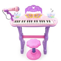 Пианино для детей NN Pianino Gosia цена и информация | Клавишные музыкальные инструменты | kaup24.ee