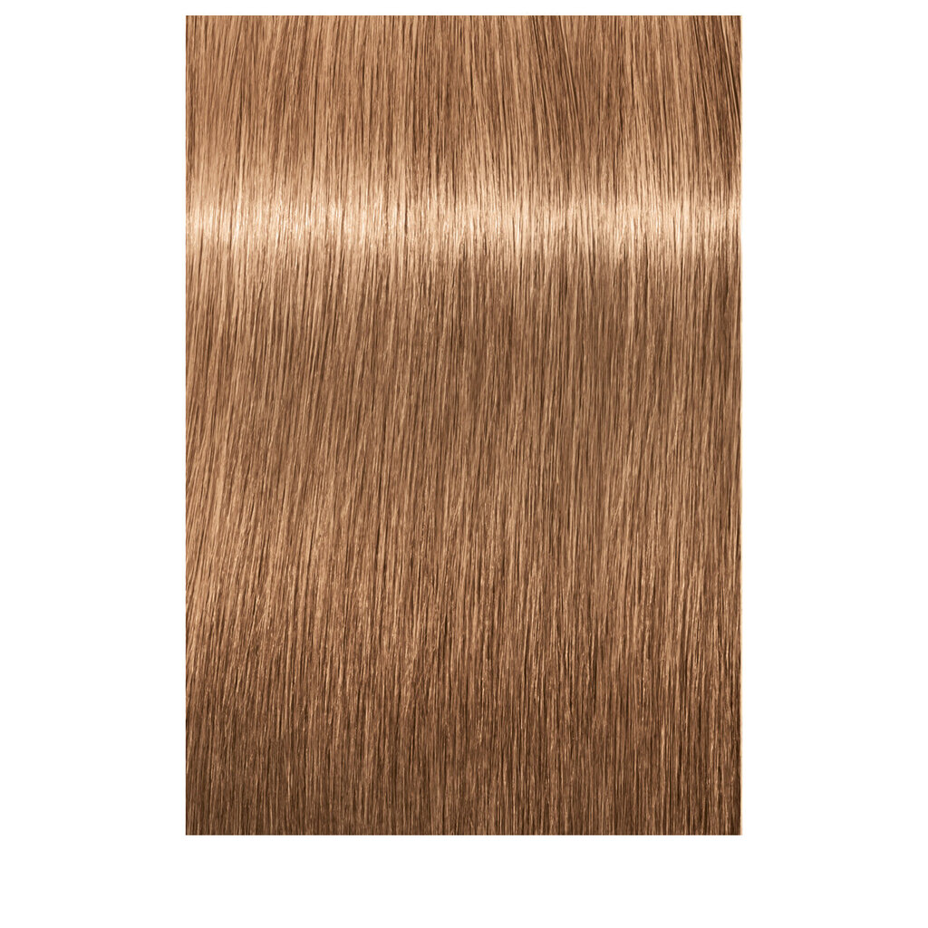 Juuksevärv Schwarzkopf Professional Igora Royal 60 ml, 9-65 Extra Light Blonde Chocolate Gold hind ja info | Juuksevärvid | kaup24.ee