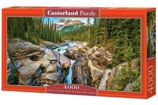 Pusle Castorland Mistaya kanjon, Banff N.P. Kanada, 4000 tk цена и информация | Пазлы | kaup24.ee