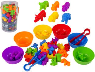 Värvide sorteerimise mänguasi Loomad, 36 tk hind ja info | Arendavad mänguasjad | kaup24.ee