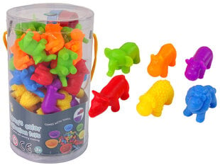 Игрушка для сортировки цветов - Животные, 36 шт. цена и информация | Развивающие игрушки | kaup24.ee