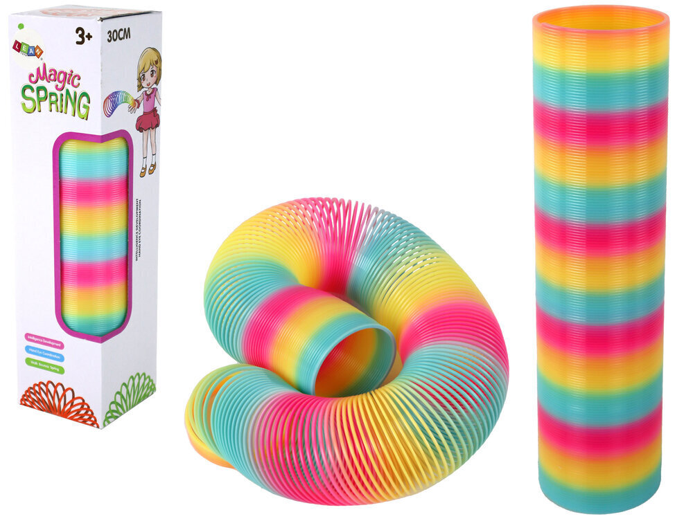 Värviline mänguvedru Lean Toys, 30 cm hind ja info | Arendavad mänguasjad | kaup24.ee