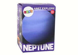 Kaevekomplekt Lean Toys Neptune hind ja info | Arendavad mänguasjad | kaup24.ee