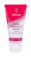 Зубная паста Weleda Sage Gum Balm, 30 мл цена и информация | Для ухода за зубами | kaup24.ee